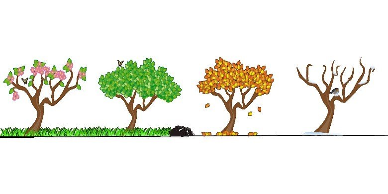 En çok hangi mevsimi seviyorsunuz?