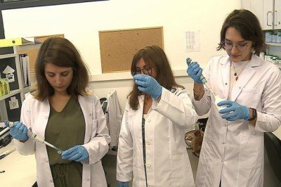 Kantaron yağından güneş kremi yaptılar