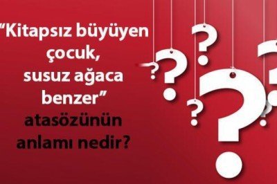 Kitapsız Büyüyen Çocuk Susuz Ağaca Benzer Atasözünün Anlamı Nedir? Kısaca Açıklaması Ve Örnek Cümle…