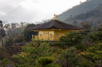 Kızıl Köşkün Rüyası: 100 milyon