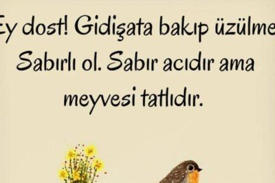 Sabır Acıdır Meyvesi Tatlıdır Atasözünün Anlamı Nedir? Kısaca Açıklaması Ve Örnek Cümle…