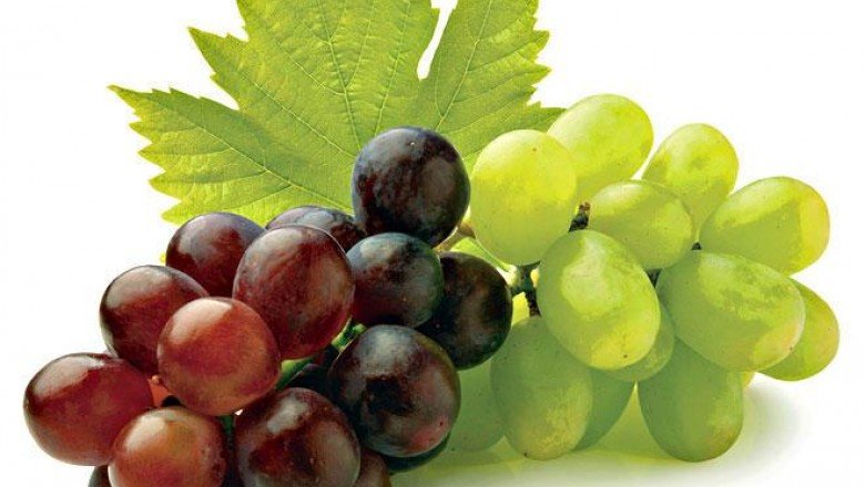 Üzüm Üzüme Baka Baka Kararır Atasözünün Anlamı Nedir? Kısaca Açıklaması Ve Örnek Cümle… Nedir?