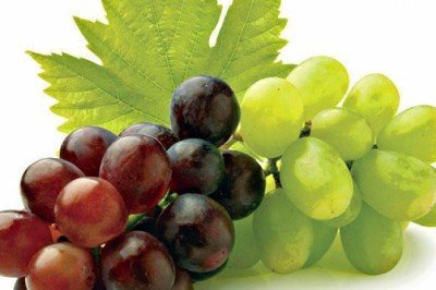 Üzüm Üzüme Baka Baka Kararır Atasözünün Anlamı Nedir? Kısaca Açıklaması Ve Örnek Cümle… Nedir?