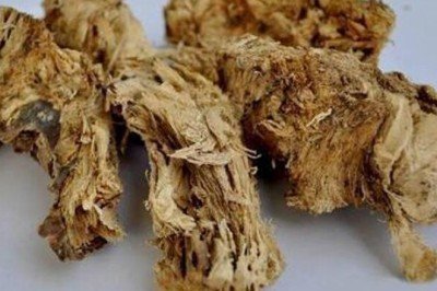 Çakşır Kökü Ve Otunun Faydaları Nelerdir? Çakşır Kökü Ne İşe Yarar?