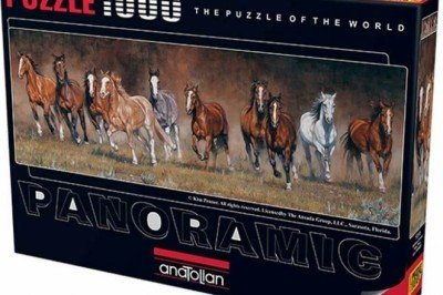 1010 Anatolian Serbest Zaman 1000 parça Panaromic Puzzle