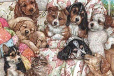 3162 Anatolian Yavru Köpekler 1000 Parça Puzzle