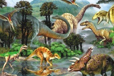 3288 Anatolian Dinozorlar Vadisi II / 260 Parça Puzzle