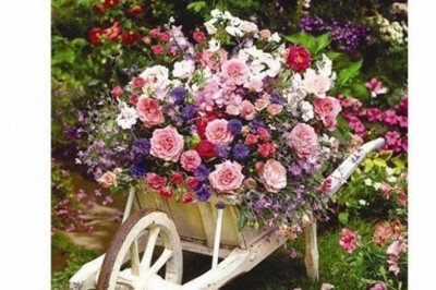 3311 Anatolian Bahçe Çiçekleri / 260 Parça Puzzle