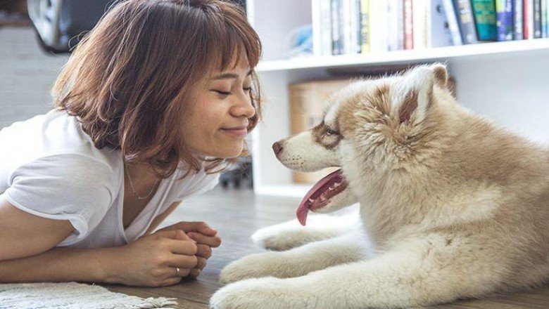 Evcil hayvanlar zihinsel sağlığınızı nasıl iyileştirebilir?