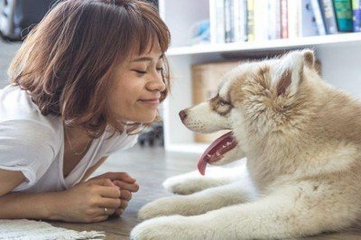 Evcil hayvanlar zihinsel sağlığınızı nasıl iyileştirebilir?