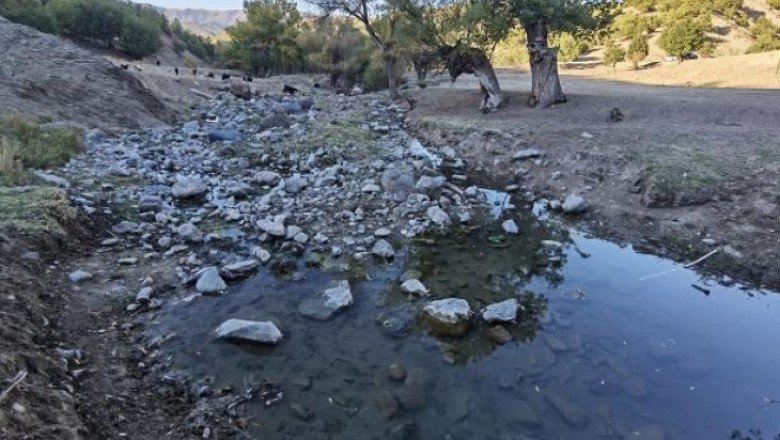 Çerme Deresi kurudu: Binlerce balık tehlike altında