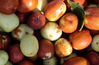 Enerji ve vitamin deposu: Hünnap