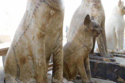 Mısır'da kedi heykelleri ve mumyaları bulundu