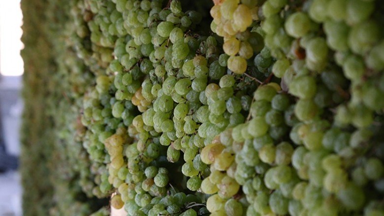 Torosların "gök üzümü" tavan arasında kurutularak sofralara geliyor