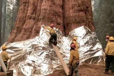 ABD'de 18 felaketin faturası 105 milyar dolar oldu