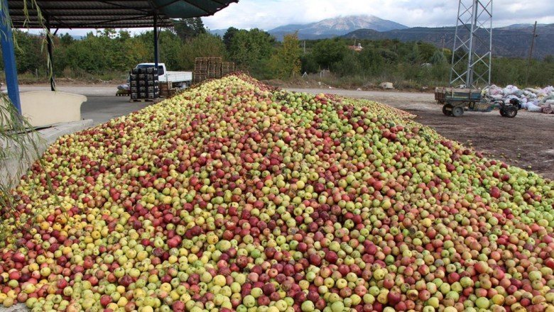 Amasya'da dalında 1,5 TL olan elma manavda 6 TL