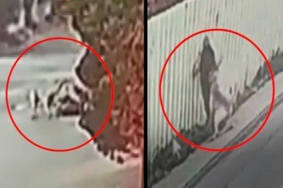 Aynı gün iki kişiye saldırdılar