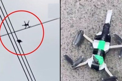 Bıçak bağlanan drone ile güvercin kurtardılar