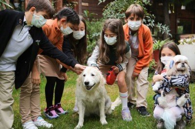 “Bir Kap Mutluluk” projesi ile ormanlara yuva yapmış sokak hayvanlarına yardım kampanyası