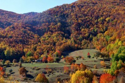Dipsiz göl, sonbahar güzelliği ile büyülüyor