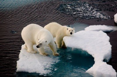 Google, iklim değişikliğini inkar eden reklamları kaldıracak