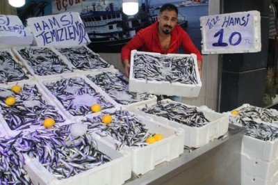 Hamsinin kilosu 10 liraya düştü