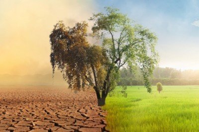 Paris Anlaşması'na ilişkin kanun Resmi Gazete'de yayımlanarak yürürlüğe girdi