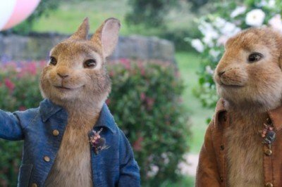 Peter Rabbit: Kaçak Tavşan fragmanı