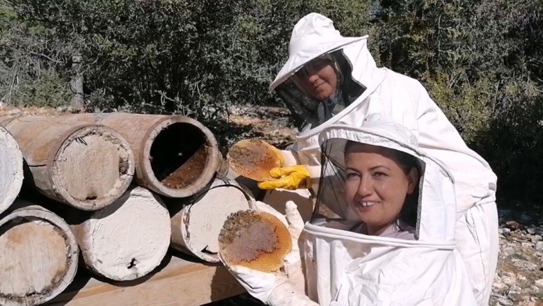 Tarihi karakovan balının hasadı yapıldı