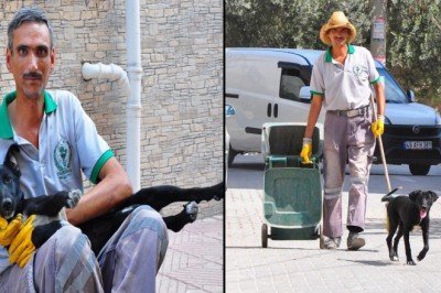 Temizlik işçisi ile sokak köpeğinin dostluğu: Yanından ayrılmıyor