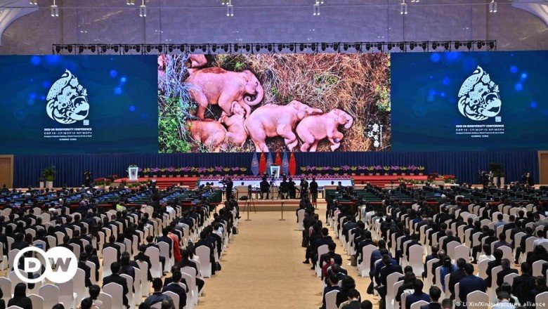 Tür çeşitliliğini korumak için yeni deklarasyon