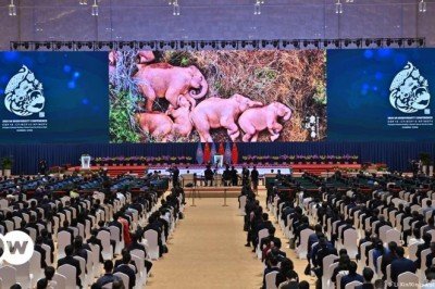 Tür çeşitliliğini korumak için yeni deklarasyon