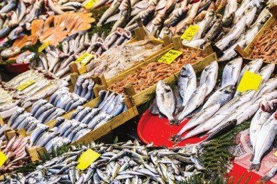 Balıkçılar talebe yetişemiyor