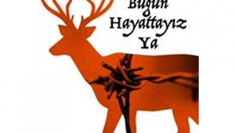 Bugün Hayattayız Ya