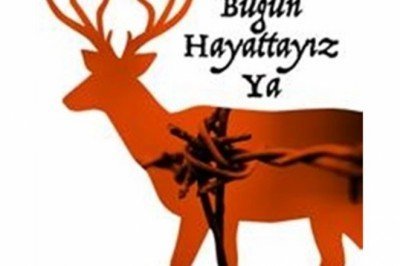 Bugün Hayattayız Ya