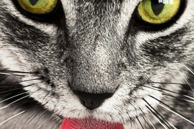 İran'ın başkenti Tahran'da sıra dışı Müze!!!