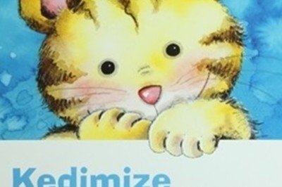 Kedimize Nasıl Bakacağımızı Öğrenelim