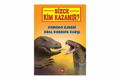 Komodo Ejderi Kral Kobraya Karşı - Sizce Kim Kazanır?
