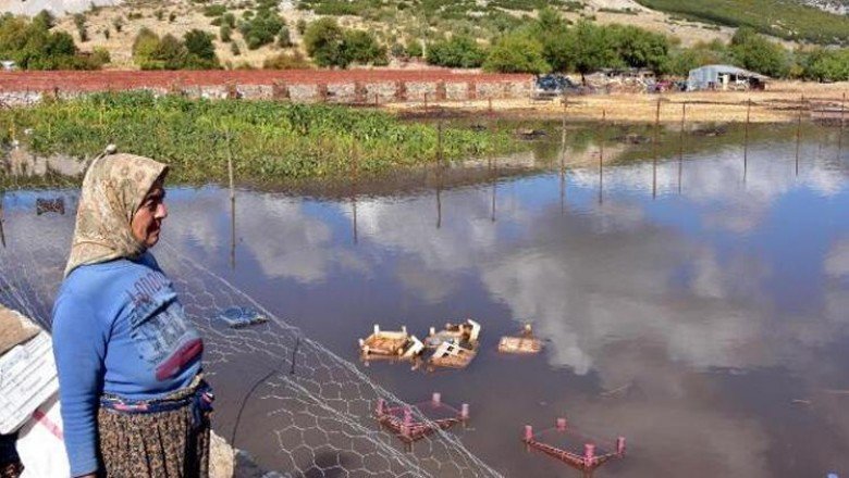 Muğla'da kuvvetli yağış! Her yer göle döndü, hayvanlar öldü