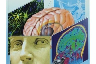 Neden ve Nasıl Cilt 10:  Beyin