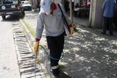 Pamukkale gece gündüz ilaçlanıyor