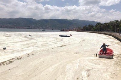 Prof. Dr. Bayram Öztürk: Limanlarımıza yük gelemeyebilir