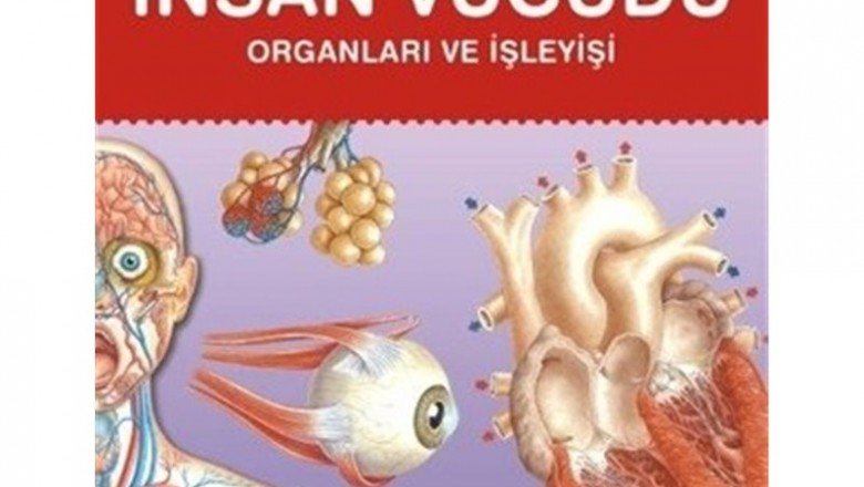 Temel Kavramlarla - İnsan Vücudu Organları ve İşleyişi