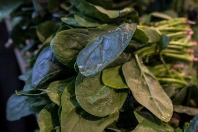 Giresun'da ıspanak yiyen 6 kişi zehirlendi! İl Sağlık Müdürlüğü'nden uyarı geldi