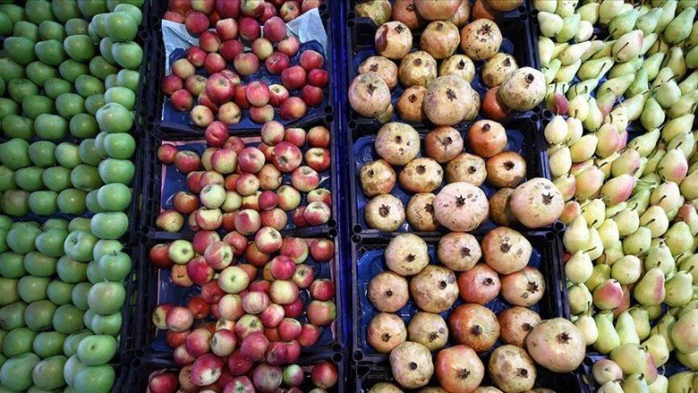 Yaş meyve ve sebze ihracatında zirve Rusya'nın