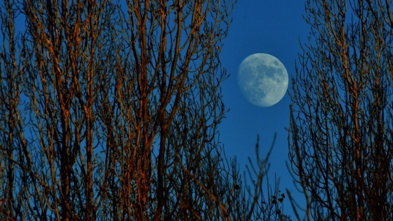Hangisi en güzel görüntü ?