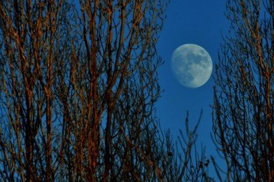 Hangisi en güzel görüntü ?