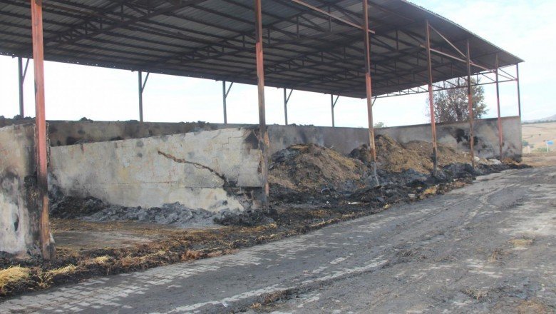 Amasya'da besi çiftliğinde çıkan yangında 200 ton saman ve 25 ton yem zarar gördü