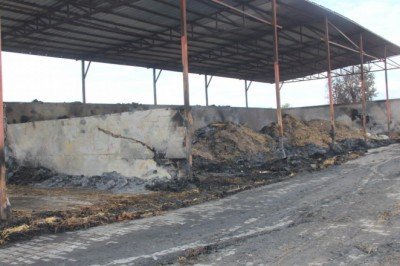 Amasya'da besi çiftliğinde çıkan yangında 200 ton saman ve 25 ton yem zarar gördü