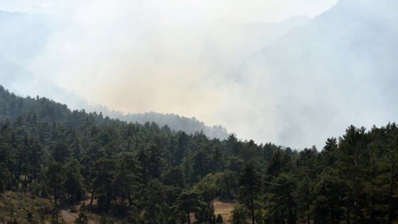 Antalya&amp;#039;da orman yangını